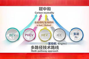 波波维奇：文班看起来还不是100% 下次背靠背他将轮休一场